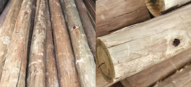 Poste eucaliptus CCA 9a12cm x 3,00m